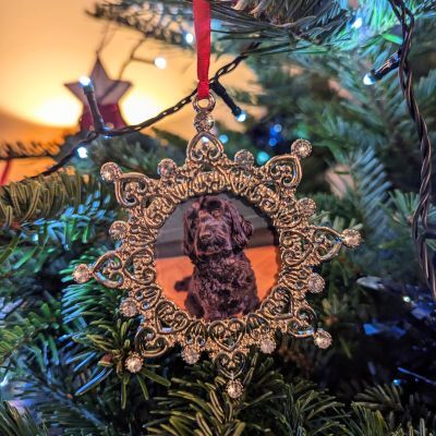 Christmas Photo Tree Decoration with Pet Dog